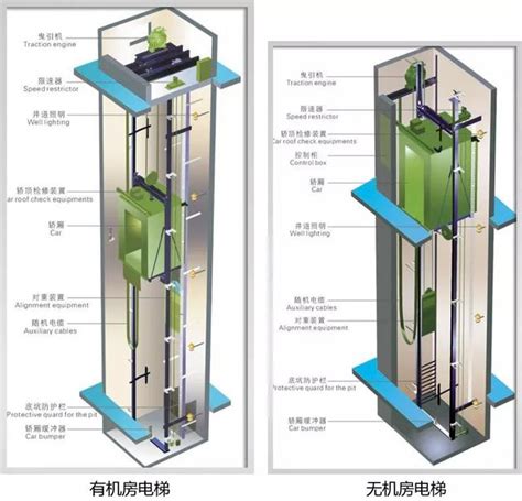 電梯機房 蝙蝠怕什么